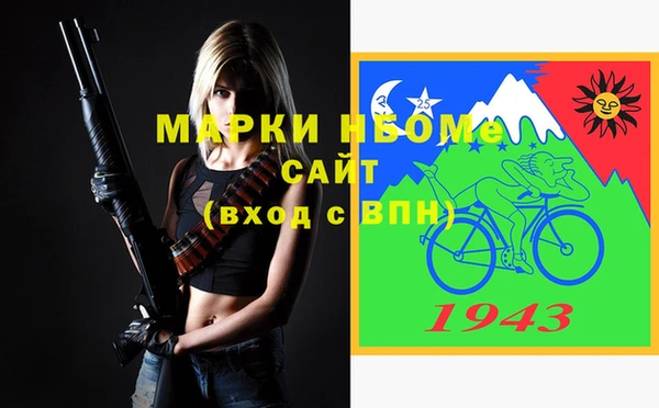 амф Гусев
