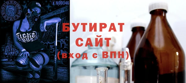 амф Гусев