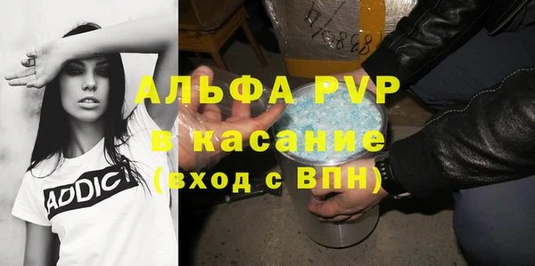 амф Гусев