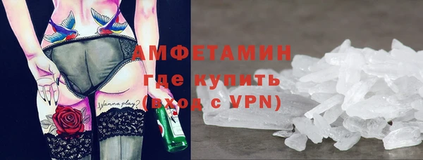 амф Гусев