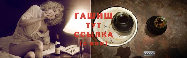 амф Гусев
