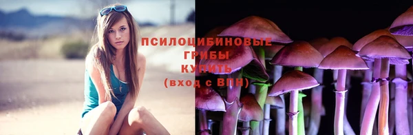 марки lsd Гусиноозёрск