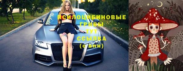 амфетамин Гусь-Хрустальный