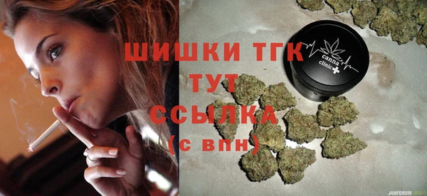 амф Гусев