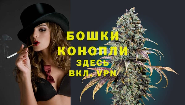амф Гусев