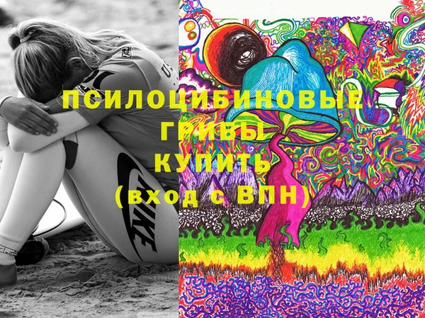 марки lsd Гусиноозёрск