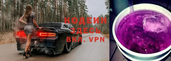 амф Гусев