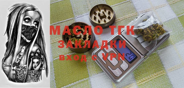 амф Гусев