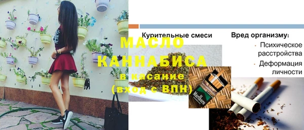 амф Гусев