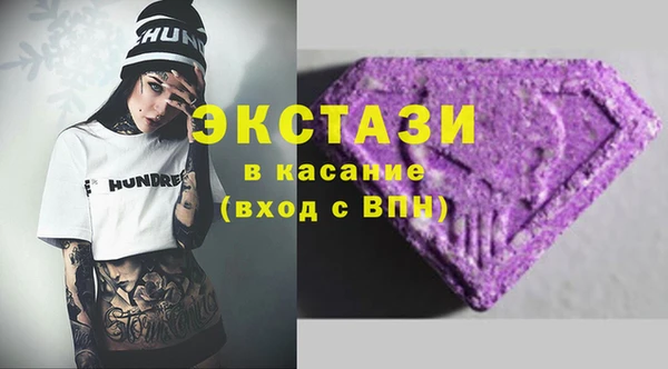 амф Гусев