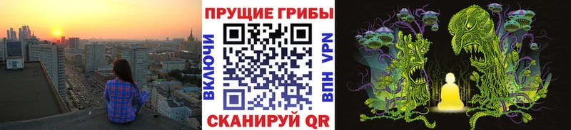 Псилоцибиновые грибы Psilocybe  Купить  Ленинск-Кузнецкий 