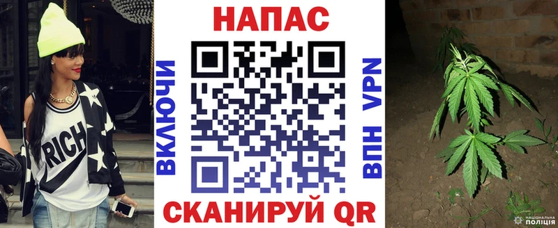Бошки марихуана OG Kush  Купить закладки  Ленинск-Кузнецкий 